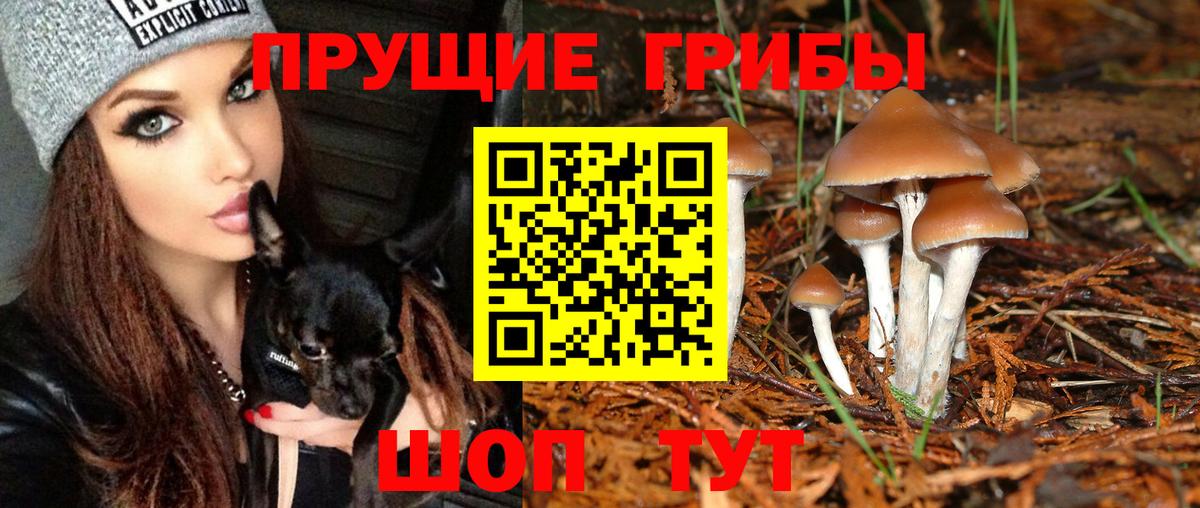 Галлюциногенные грибы ЛСД Новокубанск