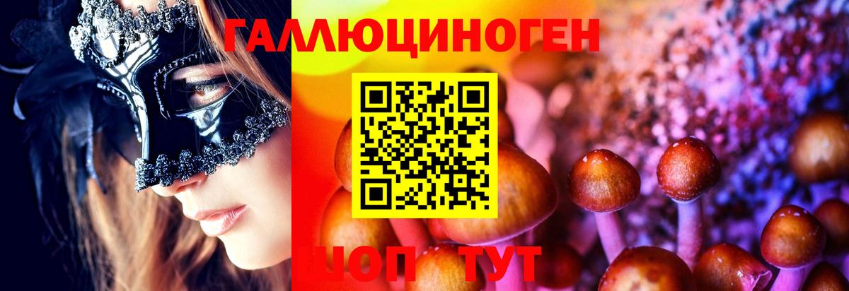 Псилоцибиновые грибы Psilocybine cubensis  Вход с VPN  Новокубанск  Галлюциногенные грибы Cubensis 